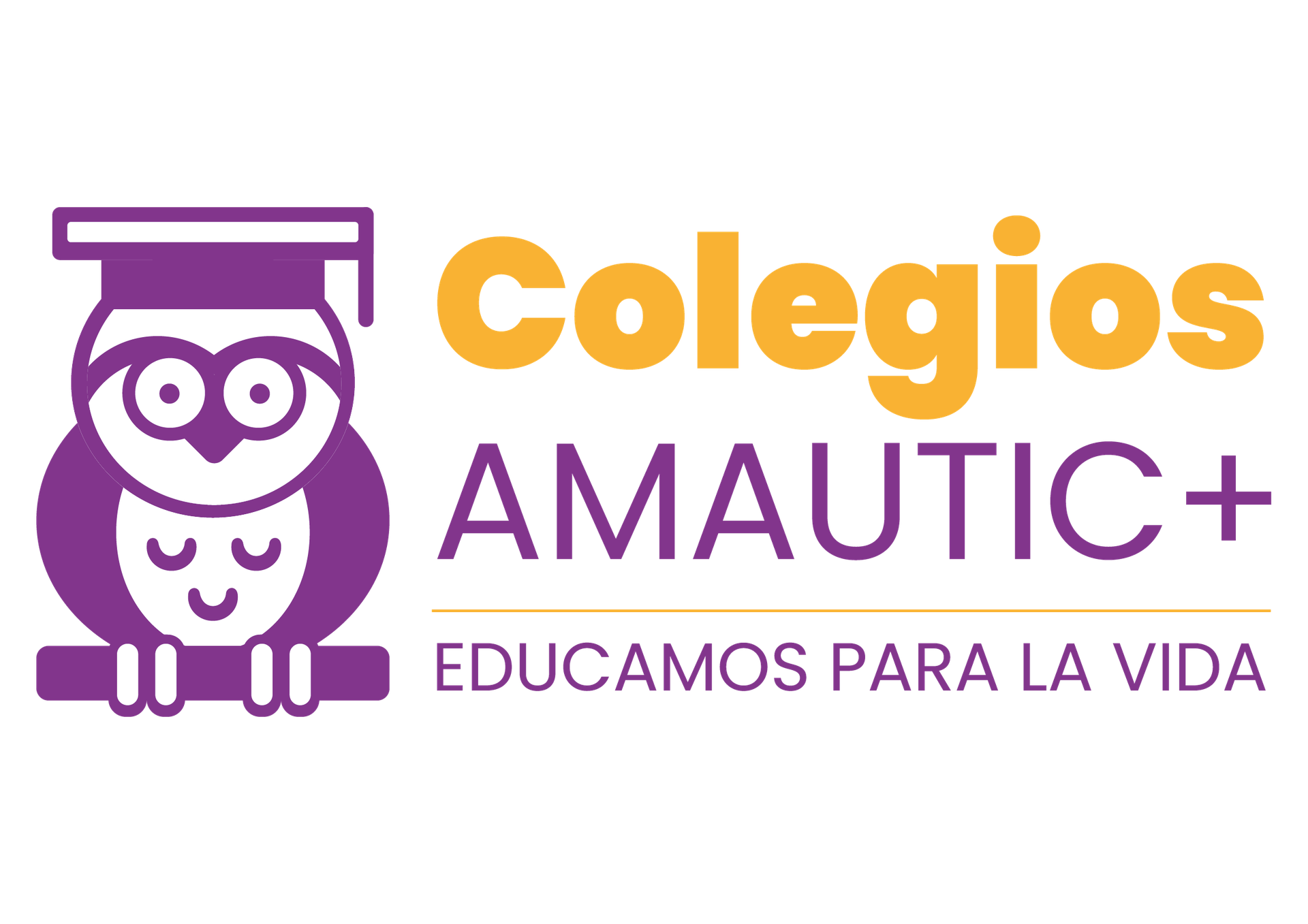 Web Colegios Amautic+